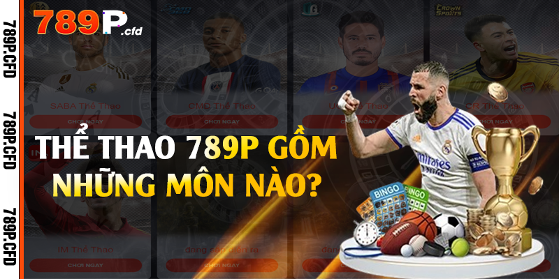 Thể Thao 789P - Cung Cấp Đa Dạng Tỷ Lệ Cá Cược 2 Thể thao 789P gồm những môn nào?